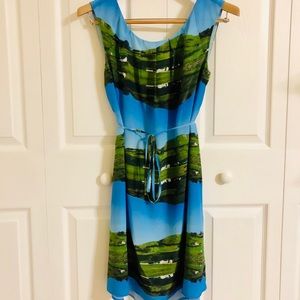 Anthropologie Meadow Rue farm scene dress